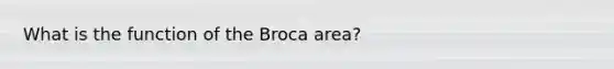 What is the function of the Broca area?