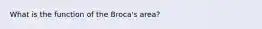 What is the function of the Broca's area?