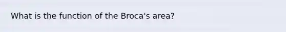 What is the function of the Broca's area?