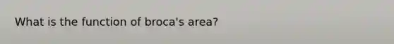 What is the function of broca's area?