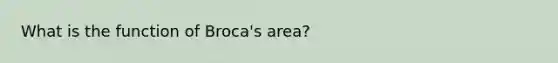 What is the function of Broca's area?