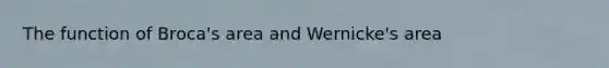 The function of Broca's area and Wernicke's area