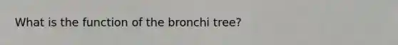 What is the function of the bronchi tree?