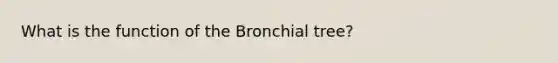 What is the function of the Bronchial tree?