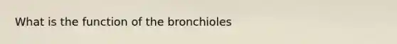 What is the function of the bronchioles