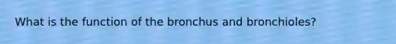 What is the function of the bronchus and bronchioles?