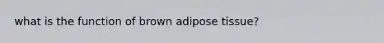 what is the function of brown adipose tissue?