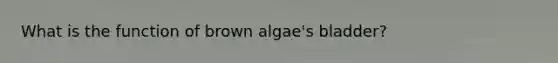 What is the function of brown algae's bladder?