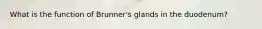 What is the function of Brunner's glands in the duodenum?