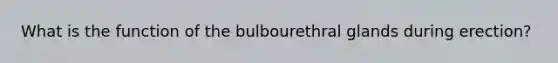 What is the function of the bulbourethral glands during erection?