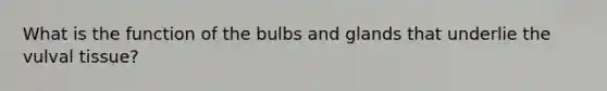 What is the function of the bulbs and glands that underlie the vulval tissue?