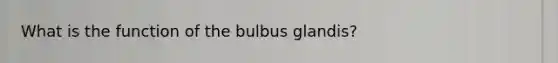 What is the function of the bulbus glandis?