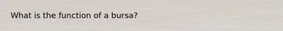 What is the function of a bursa?