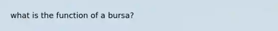 what is the function of a bursa?