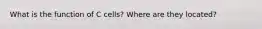 What is the function of C cells? Where are they located?