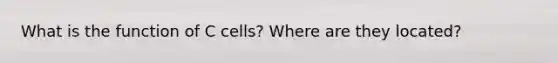 What is the function of C cells? Where are they located?