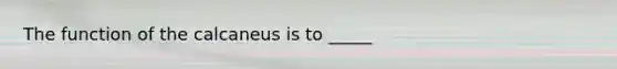 The function of the calcaneus is to _____