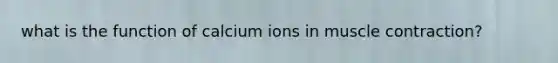 what is the function of calcium ions in muscle contraction?