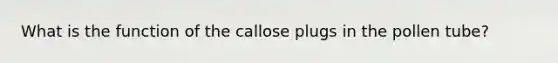 What is the function of the callose plugs in the pollen tube?