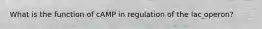 What is the function of cAMP in regulation of the lac operon?