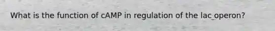 What is the function of cAMP in regulation of the lac operon?