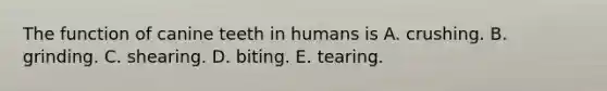 The function of canine teeth in humans is A. crushing. B. grinding. C. shearing. D. biting. E. tearing.