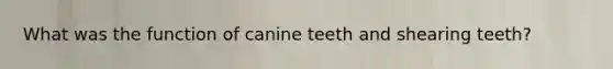 What was the function of canine teeth and shearing teeth?