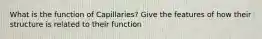 What is the function of Capillaries? Give the features of how their structure is related to their function