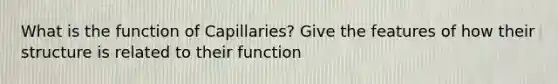 What is the function of Capillaries? Give the features of how their structure is related to their function