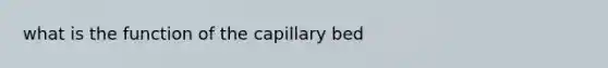 what is the function of the capillary bed