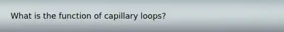 What is the function of capillary loops?