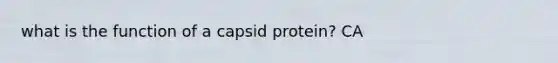 what is the function of a capsid protein? CA