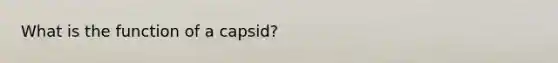 What is the function of a capsid?