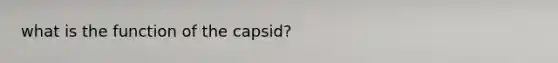 what is the function of the capsid?