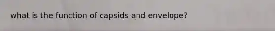 what is the function of capsids and envelope?