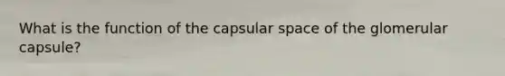 What is the function of the capsular space of the glomerular capsule?