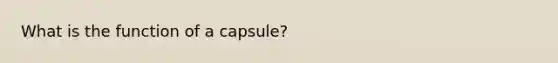 What is the function of a capsule?