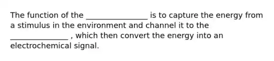 The function of the ________________ is to capture the energy from a stimulus in the environment and channel it to the _______________ , which then convert the energy into an electrochemical signal.