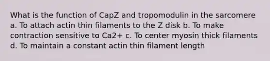 What is the function of CapZ and tropomodulin in the sarcomere a. To attach actin thin filaments to the Z disk b. To make contraction sensitive to Ca2+ c. To center myosin thick filaments d. To maintain a constant actin thin filament length