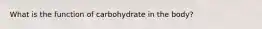 What is the function of carbohydrate in the body?