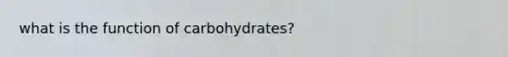 what is the function of carbohydrates?