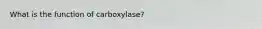 What is the function of carboxylase?