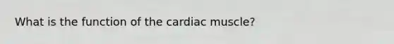 What is the function of the cardiac muscle?