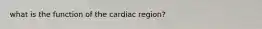 what is the function of the cardiac region?