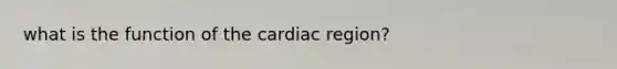 what is the function of the cardiac region?