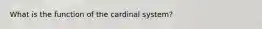 What is the function of the cardinal system?