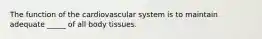 The function of the cardiovascular system is to maintain adequate _____ of all body tissues.