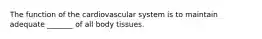 The function of the cardiovascular system is to maintain adequate _______ of all body tissues.