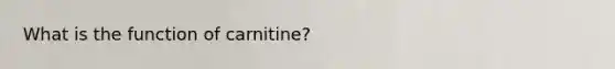 What is the function of carnitine?