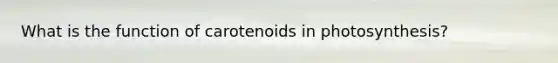 What is the function of carotenoids in photosynthesis?